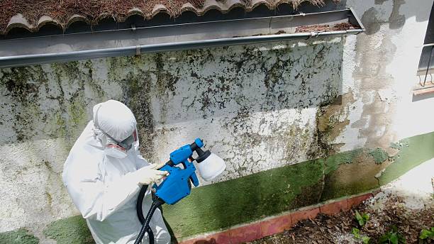Mold Remediation service in Garner, Garner, NC